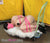 4781A      Hot Pink Leather Buckling Bondage Straps - 5 Sizes! Straps   , Sub-Shop.com Bondage and Fetish Superstore