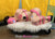 4781A      Hot Pink Leather Buckling Bondage Straps - 5 Sizes! Straps   , Sub-Shop.com Bondage and Fetish Superstore