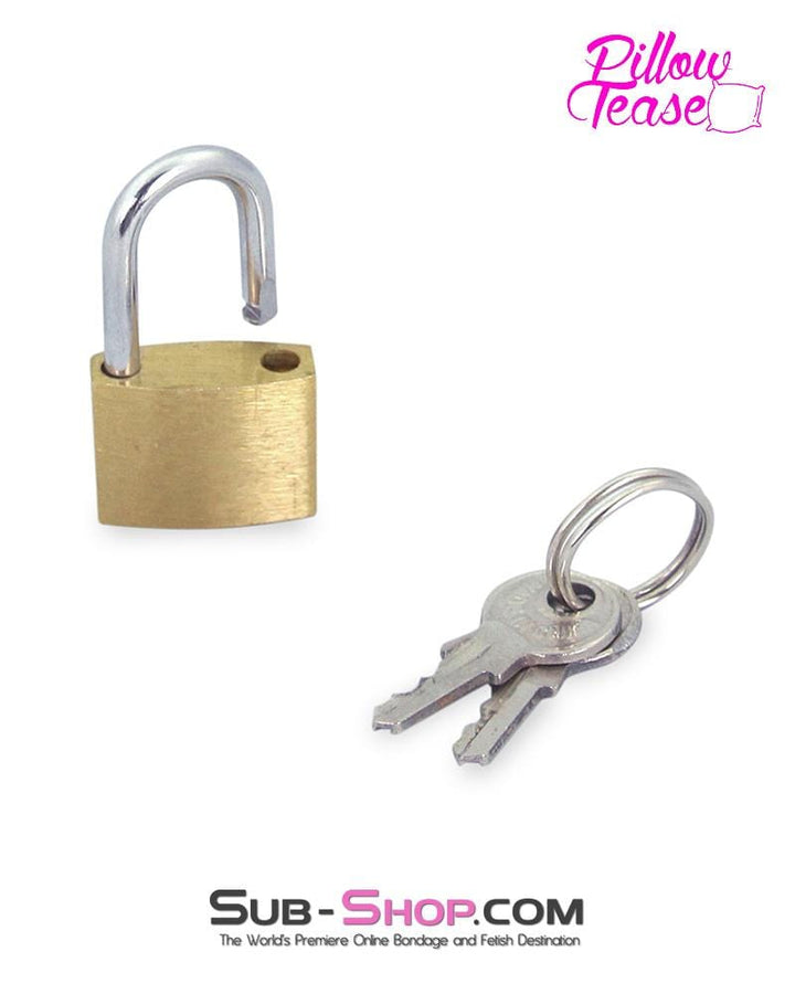 4786M      Pair of Brass Bondage Gear Padlocks Padlock   , Sub-Shop.com Bondage and Fetish Superstore