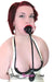 0491W-SIS      Pretty Sissy Butterfly Pump Gag Sissy   , Sub-Shop.com Bondage and Fetish Superstore