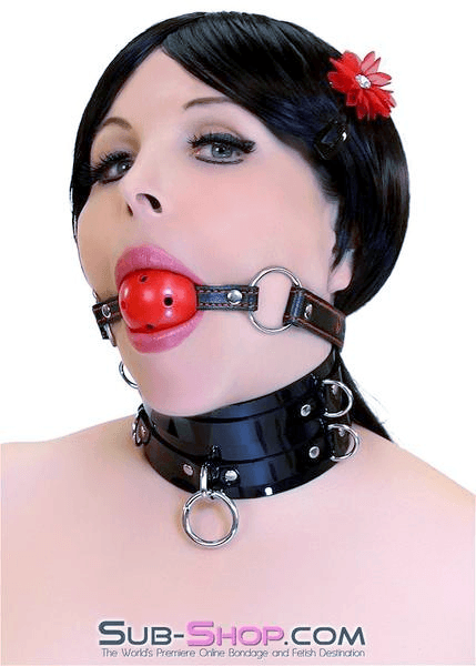 9003DL      I Love This Gag Breather Style Hearts Strap Ball Gag - LAST CHANCE - Final Closeout! Black Friday Blowout   , Sub-Shop.com Bondage and Fetish Superstore