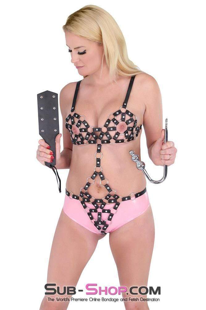 0500HS-SIS      Slut Training Steel Graduated Ball Tip Vaginal or Anal Hook with Tie Ring Sissy   , Sub-Shop.com Bondage and Fetish Superstore
