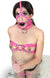 0512HS      Nipple Presses Chained Flat Nipple Clamps Nipple Clamp   , Sub-Shop.com Bondage and Fetish Superstore