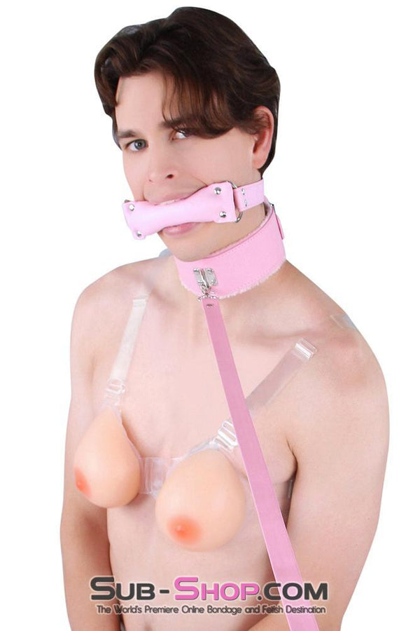 0536LT-SIS      Pink Furry Sissy Training Bondage Pretty Sissy Boi Slave Collar & Leash Set Sissy   , Sub-Shop.com Bondage and Fetish Superstore