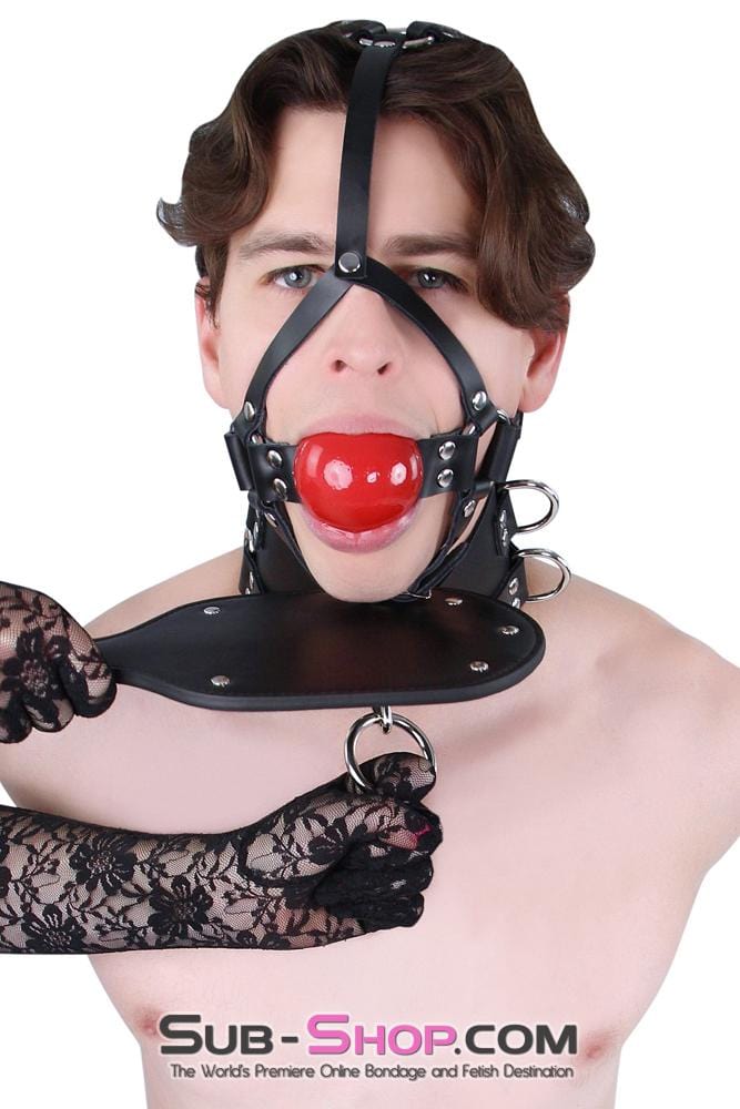 0450A      2” Leather Ball Gag Trainer, Candy Apple Red Ball Gags   , Sub-Shop.com Bondage and Fetish Superstore