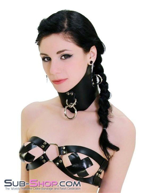 0553A      Dungeon Slave Black Leather Extreme Posture Collar Collar   , Sub-Shop.com Bondage and Fetish Superstore