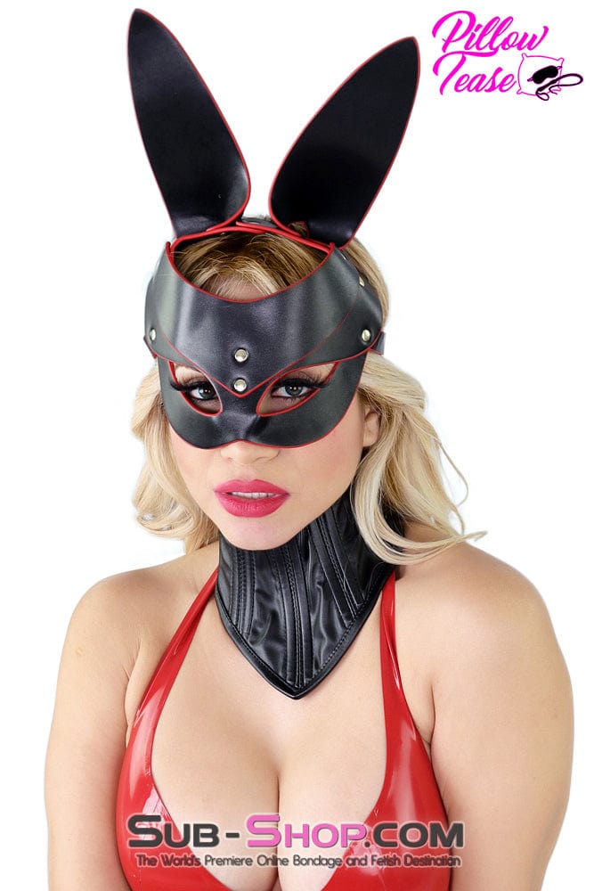 5708DL      Neck Corset Posture Training Slave Bondage Collar Collar   , Sub-Shop.com Bondage and Fetish Superstore