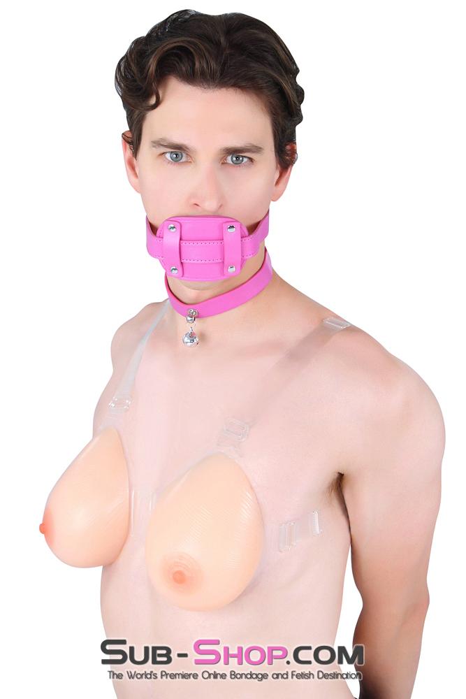 1467DL-SIS      Pretty Pink Kitty Sissy Accessory Belle Feminization Collar Sissy   , Sub-Shop.com Bondage and Fetish Superstore