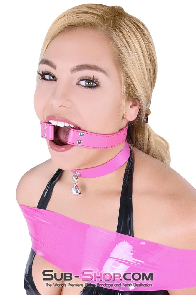 5735RS      Hot Pink Strap Ring Gag Gags   , Sub-Shop.com Bondage and Fetish Superstore