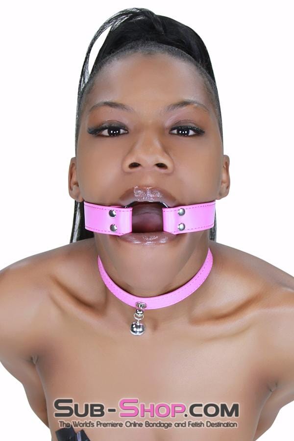 5735RS      Hot Pink Strap Ring Gag Gags   , Sub-Shop.com Bondage and Fetish Superstore