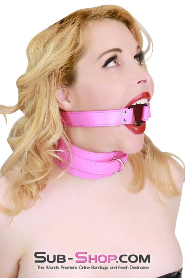 5735RS      Hot Pink Strap Ring Gag Gags   , Sub-Shop.com Bondage and Fetish Superstore