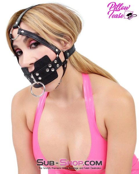 6163M      Head Trainer Panel Gag Trainer Ball Gag with Lead Ring Gags   , Sub-Shop.com Bondage and Fetish Superstore