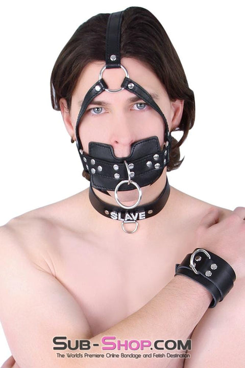6163M      Head Trainer Panel Gag Trainer Ball Gag with Lead Ring Gags   , Sub-Shop.com Bondage and Fetish Superstore