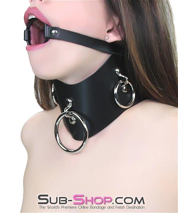 0636A      Locking Slave Trainer Posture Collar Collar   , Sub-Shop.com Bondage and Fetish Superstore