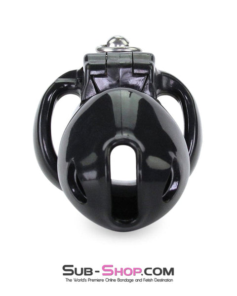 6763M      Long Black Cock Cage with Lead Ring and Small Cock Cuff Ring Chastity   , Sub-Shop.com Bondage and Fetish Superstore