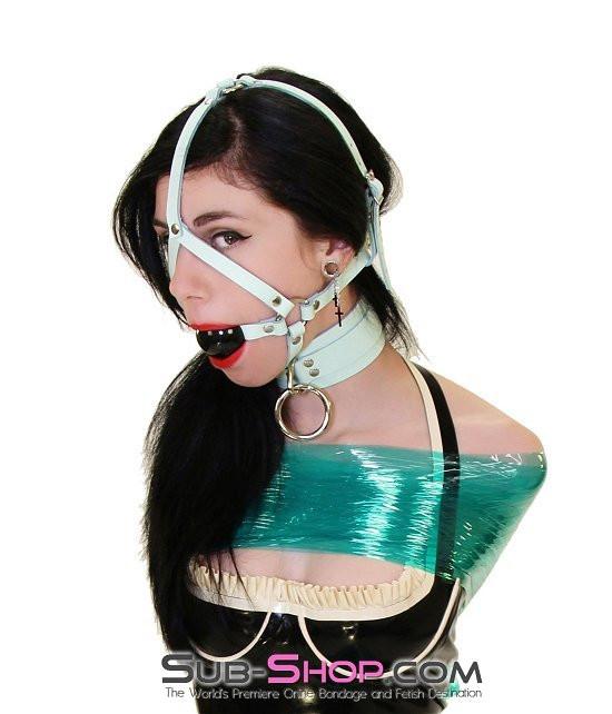 0988A     I Like It Rough Retro Mint Green Leather Bondage Collar Collar   , Sub-Shop.com Bondage and Fetish Superstore