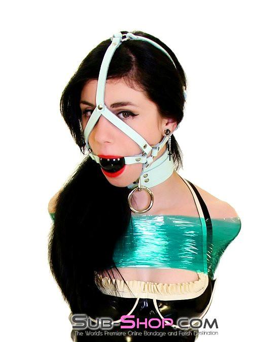 0988A     I Like It Rough Retro Mint Green Leather Bondage Collar Collar   , Sub-Shop.com Bondage and Fetish Superstore