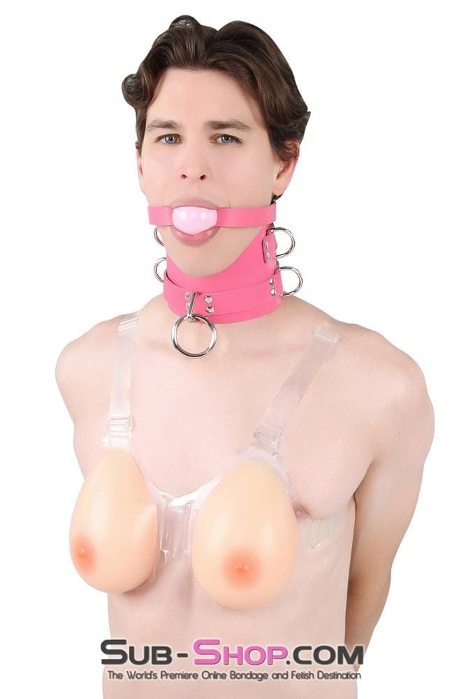 1659A-SIS      Controlled Sissy Boy Hot Pink Leather Female BDSM Bondage Accessory Posture Collar Sissy   , Sub-Shop.com Bondage and Fetish Superstore