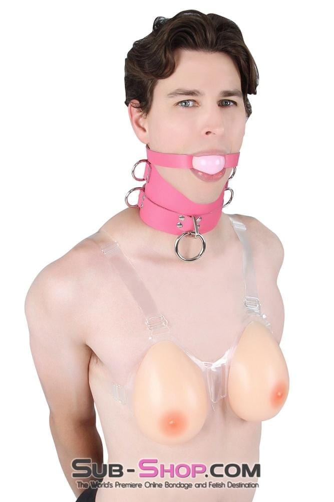 1659A-SIS      Controlled Sissy Boy Hot Pink Leather Female BDSM Bondage Accessory Posture Collar Sissy   , Sub-Shop.com Bondage and Fetish Superstore