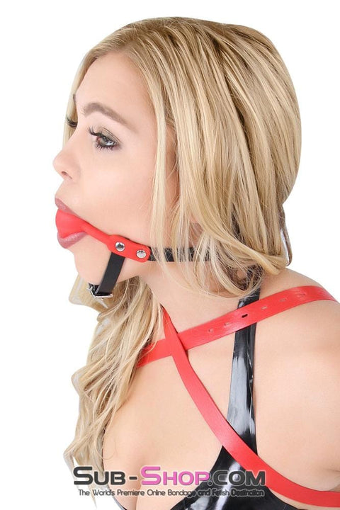 6923A      Red Silicone Ball Gag with Chin Straps Gags   , Sub-Shop.com Bondage and Fetish Superstore