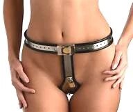 6942AR      Owned and Chastised Steel Locking Female Full Chastity Belt Chastity   , Sub-Shop.com Bondage and Fetish Superstore