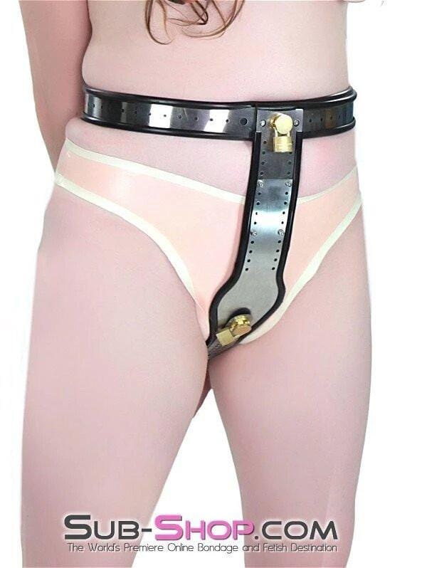 6942AR      Owned and Chastised Steel Locking Female Full Chastity Belt Chastity   , Sub-Shop.com Bondage and Fetish Superstore