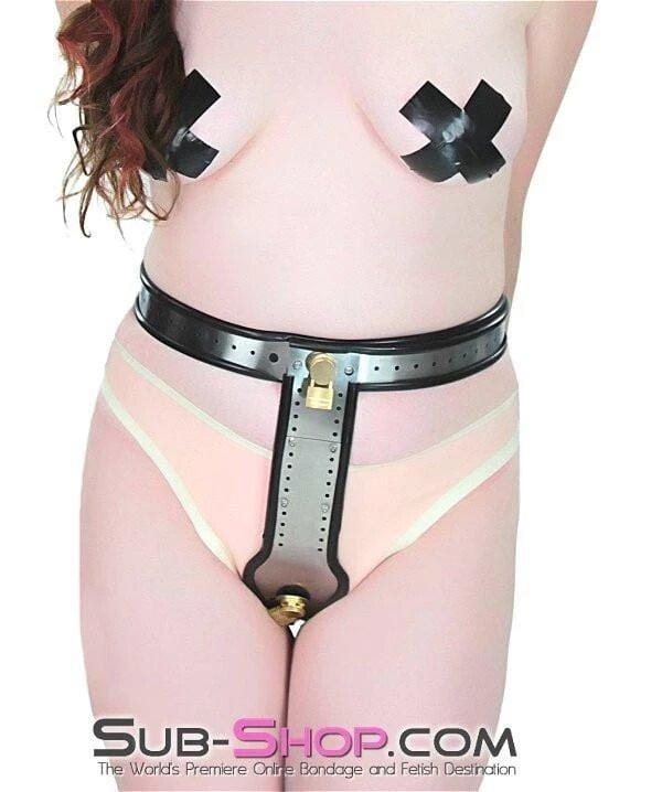 6942AR      Owned and Chastised Steel Locking Female Full Chastity Belt Chastity   , Sub-Shop.com Bondage and Fetish Superstore