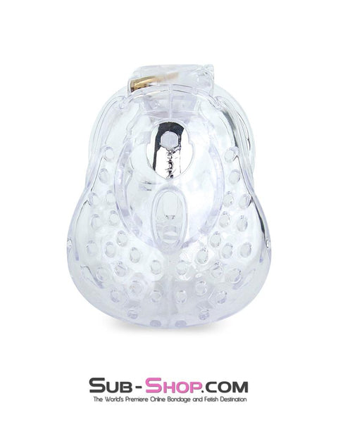 6964AE      Large Dungeon Cage Clear High Security Full Coverage Male Chastity Device Chastity   , Sub-Shop.com Bondage and Fetish Superstore
