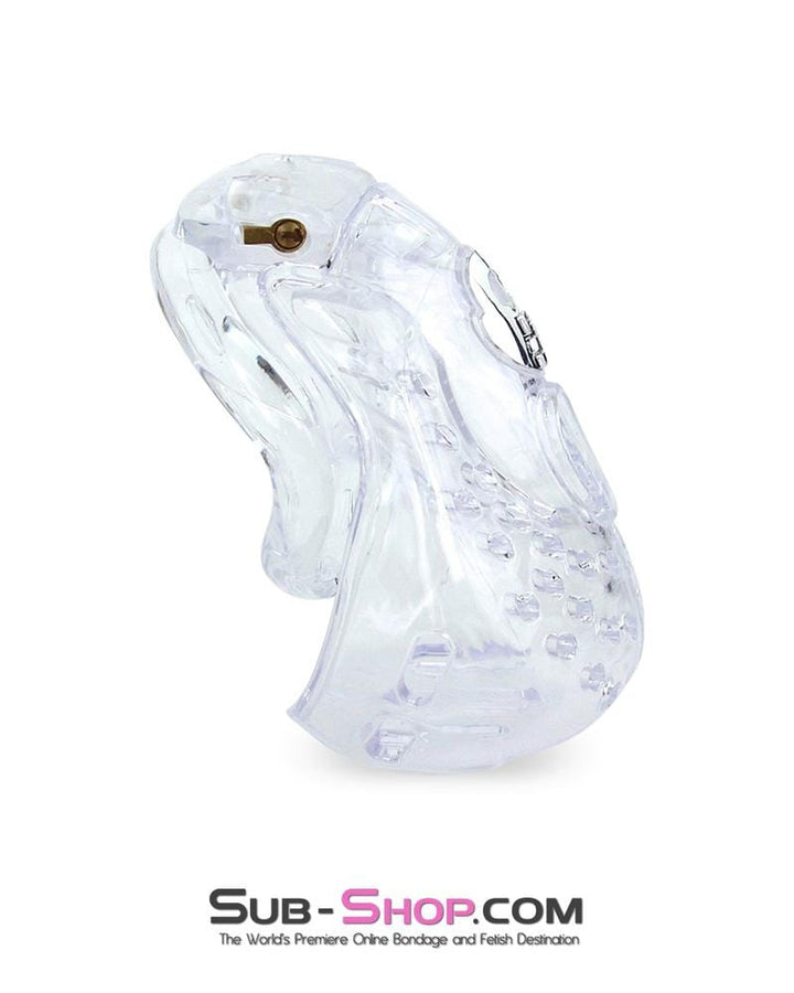 6964AE      Large Dungeon Cage Clear High Security Full Coverage Male Chastity Device Chastity   , Sub-Shop.com Bondage and Fetish Superstore
