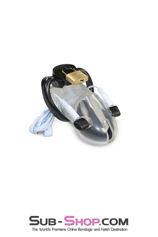 6980AR      Electro-Sex Black Balled Locking Cock Cage Chastity Chastity   , Sub-Shop.com Bondage and Fetish Superstore