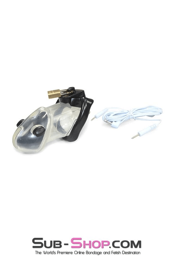 6980AR      Electro-Sex Black Balled Locking Cock Cage Chastity Chastity   , Sub-Shop.com Bondage and Fetish Superstore