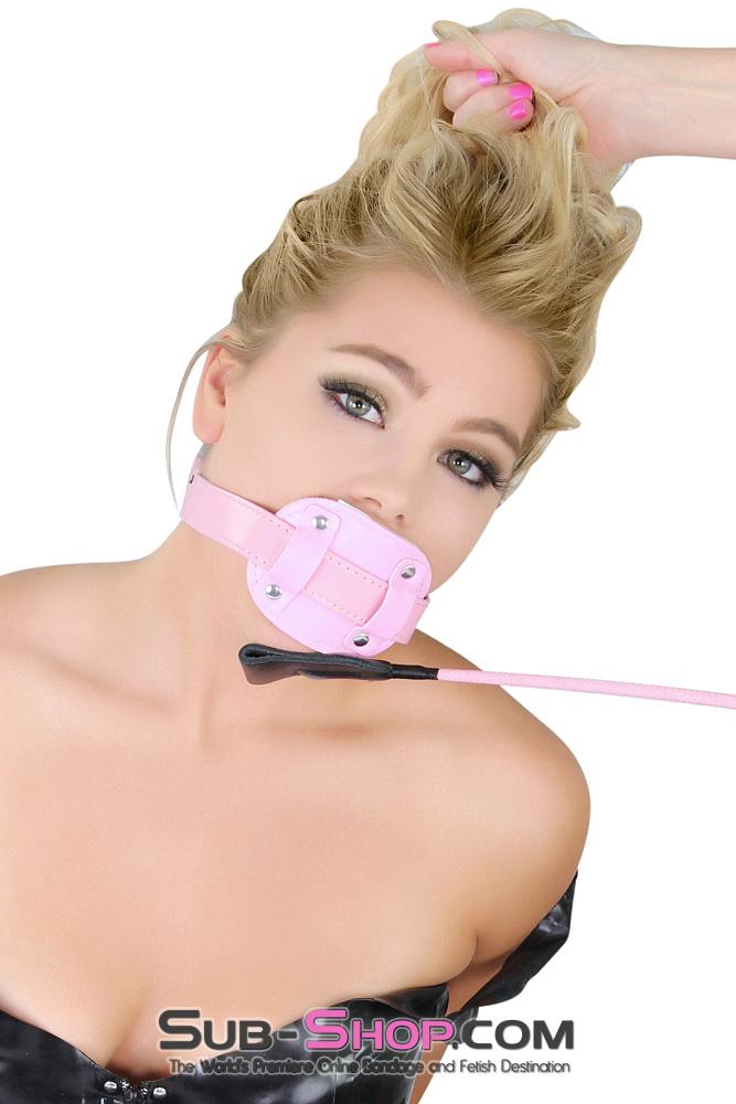 7046MQ      Locking Princess Pink Blowjob Trainer 2" Penis Gag - MEGA Deal MEGA Deal   , Sub-Shop.com Bondage and Fetish Superstore