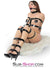 0705A      Something Shiny Bondage Strap - 6 Sizes! Bondage   , Sub-Shop.com Bondage and Fetish Superstore