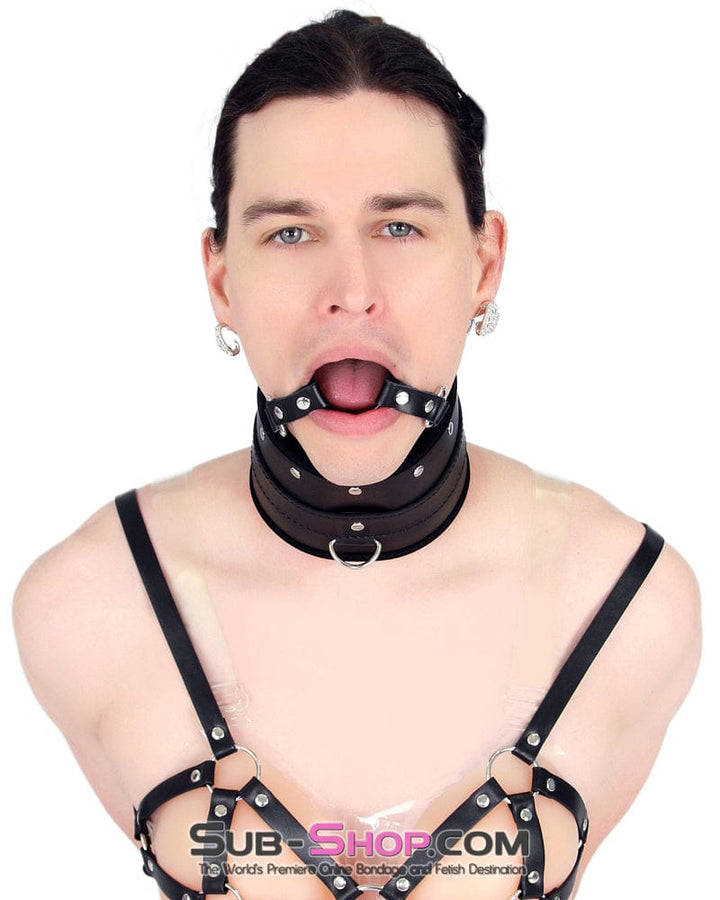 7060M-SIS      Heads Up Black Posture Female Top Collar with Ring Gag and Sissy Slave Bondage Lead Leash Sissy   , Sub-Shop.com Bondage and Fetish Superstore