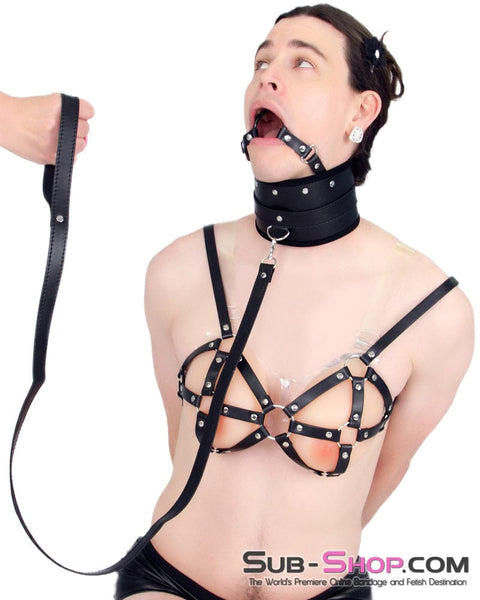 7060M-SIS      Heads Up Black Posture Collar with Ring Gag and Sissy Bondage Lead Leash Sissy   , Sub-Shop.com Bondage and Fetish Superstore