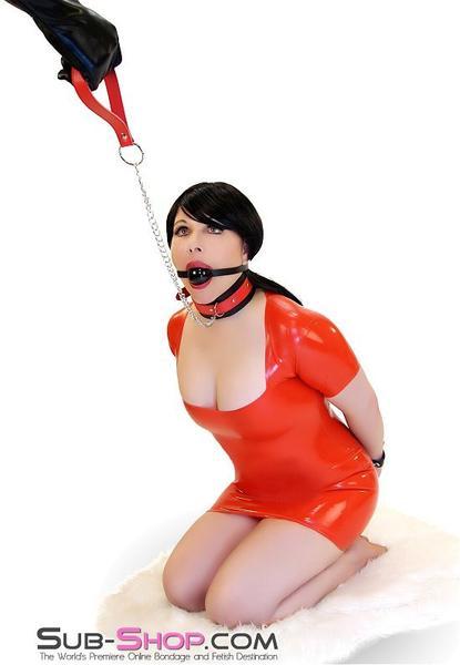 7095DL      Led Into Temptation Bondage Collar with Leash Set - LAST CHANCE - Final Closeout! Black Friday Blowout   , Sub-Shop.com Bondage and Fetish Superstore