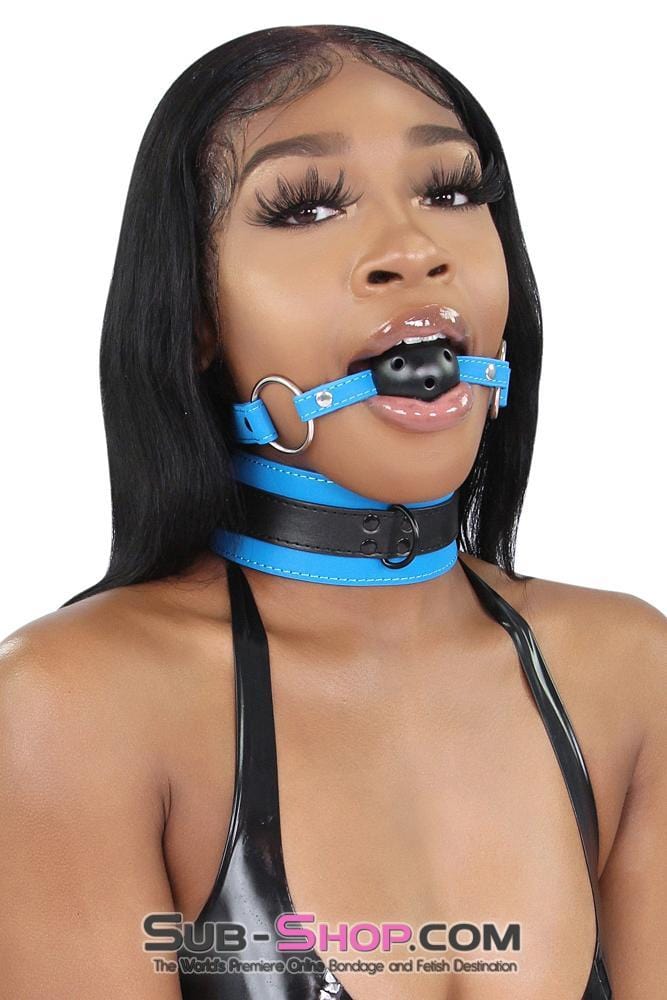 7099MQ      Tantric Blue Collar with Black Hardware and Matching Leash - LAST CHANCE - Final Closeout! MEGA Deal   , Sub-Shop.com Bondage and Fetish Superstore