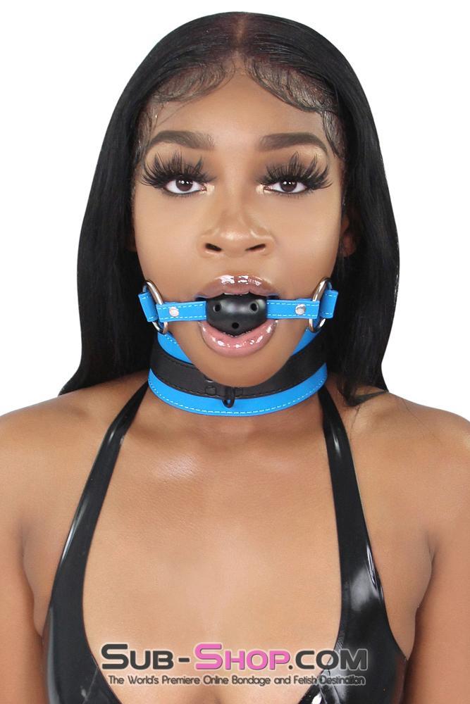 7099MQ      Tantric Blue Collar with Black Hardware and Matching Leash - LAST CHANCE - Final Closeout! MEGA Deal   , Sub-Shop.com Bondage and Fetish Superstore