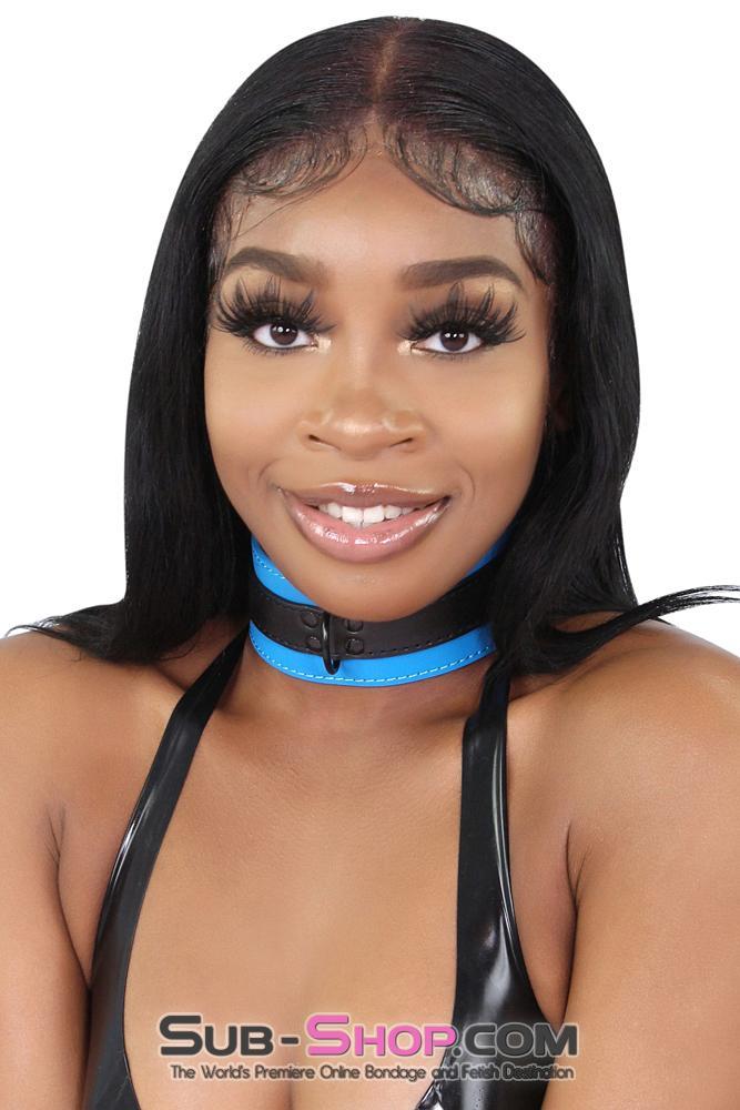7099MQ      Tantric Blue Collar with Black Hardware and Matching Leash - LAST CHANCE - Final Closeout! MEGA Deal   , Sub-Shop.com Bondage and Fetish Superstore