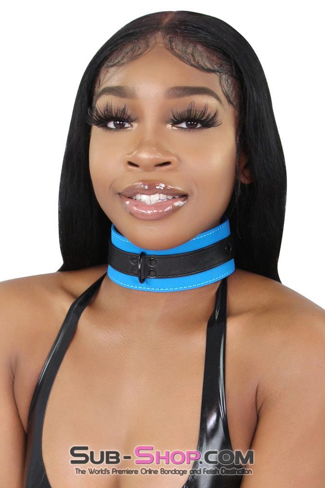 7099MQ      Tantric Blue Collar with Black Hardware and Matching Leash - LAST CHANCE - Final Closeout! MEGA Deal   , Sub-Shop.com Bondage and Fetish Superstore