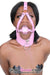 8976DL-SIS      Pink Sissy Pet Posture Collar with Leash Set Sissy   , Sub-Shop.com Bondage and Fetish Superstore