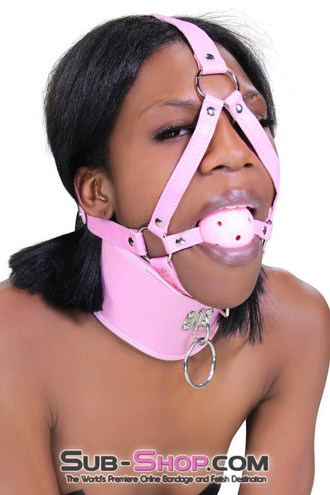 7109DL      Pink Breather Ball Gag Trainer Gags   , Sub-Shop.com Bondage and Fetish Superstore