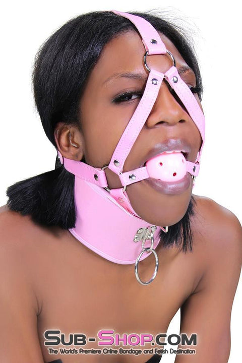 8976DL      Pink Pet Posture Collar with Leash Set - MEGA Deal MEGA Deal   , Sub-Shop.com Bondage and Fetish Superstore