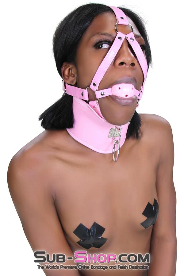 7109DL      Pink Breather Ball Gag Trainer - MEGA Deal Black Friday Blowout   , Sub-Shop.com Bondage and Fetish Superstore