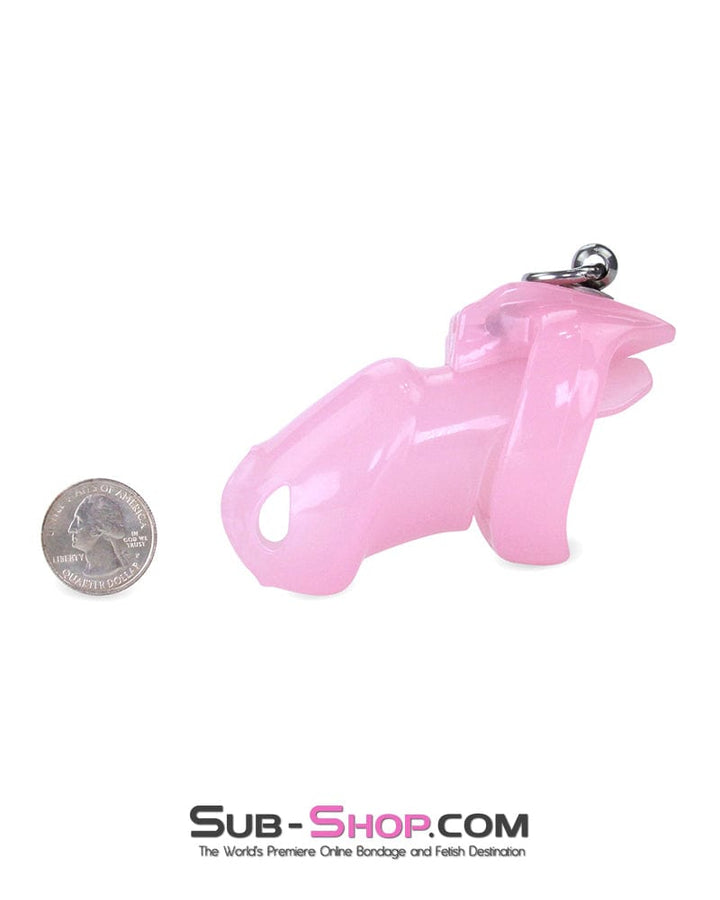 7141M      Long Pink Cock Cage with Lead Ring and Medium Cock Cuff Ring Chastity   , Sub-Shop.com Bondage and Fetish Superstore