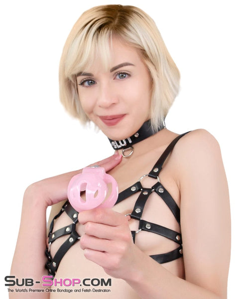 7141M-SIS      Sissy Clit Lock Long Pink Cock Cage with Lead Ring and Medium Cock Cuff Ring Sissy   , Sub-Shop.com Bondage and Fetish Superstore