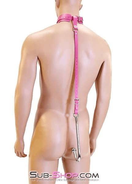 7167A      Femme Trainer Adjustable Anal Hook Trainer and Collar Set Anal Toys   , Sub-Shop.com Bondage and Fetish Superstore