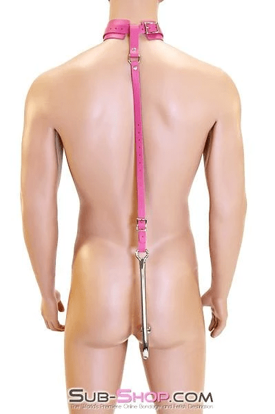 0767A-SIS      Femme Sissy Slut Trainer Adjustable Anal Hook Trainer and Collar Set, Slim Tip Sissy   , Sub-Shop.com Bondage and Fetish Superstore