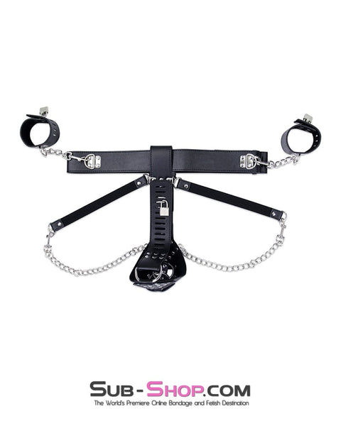 7215M-SIS      Locking Male Sissy Chastity Cage Belt with Chained Locking Wrist Cuffs Sissy   , Sub-Shop.com Bondage and Fetish Superstore