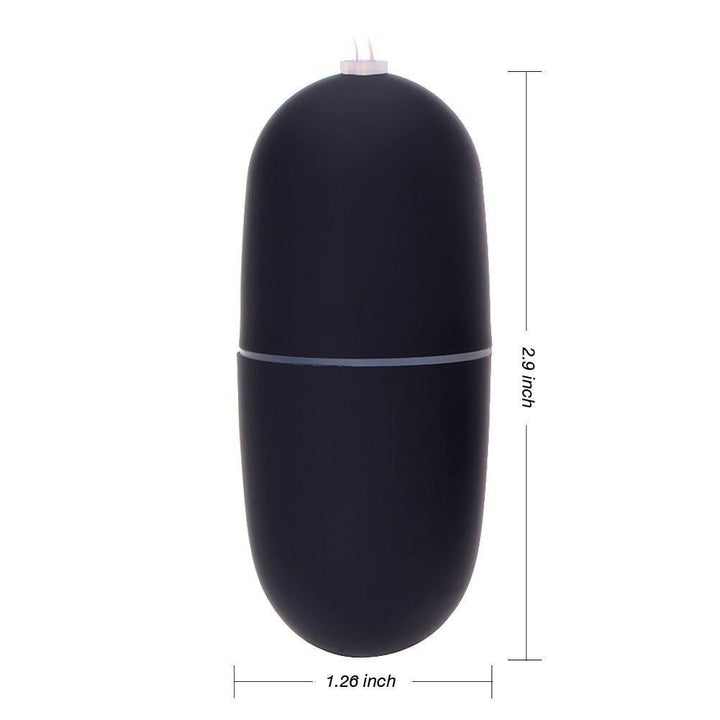 7228AE      L’il Pet Black Remote Control Vibrating Egg Vibrators   , Sub-Shop.com Bondage and Fetish Superstore